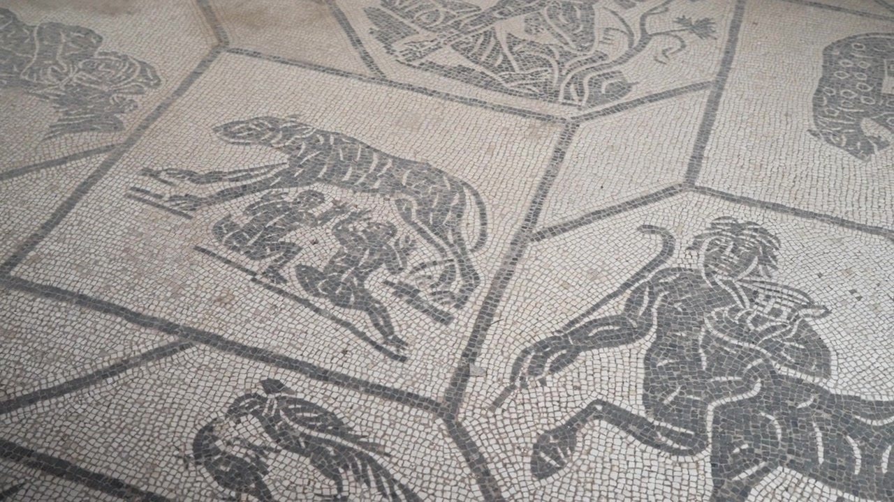 Mosaico a tessere bianche e nere che mostra la lupa con Remo e Romolo circondata da figure mitologiche in un sito archeologico italiano