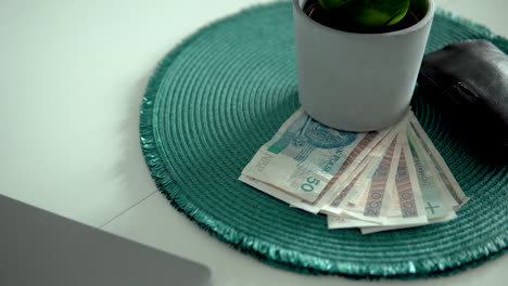 polish money bills placed flat on aquablue round table mat with a potted succulent plant - closeup shot