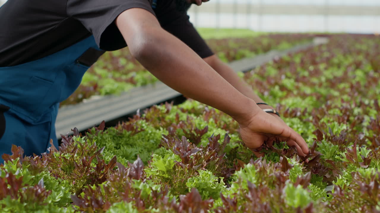 Gardening and agriculture in a greenhouse
