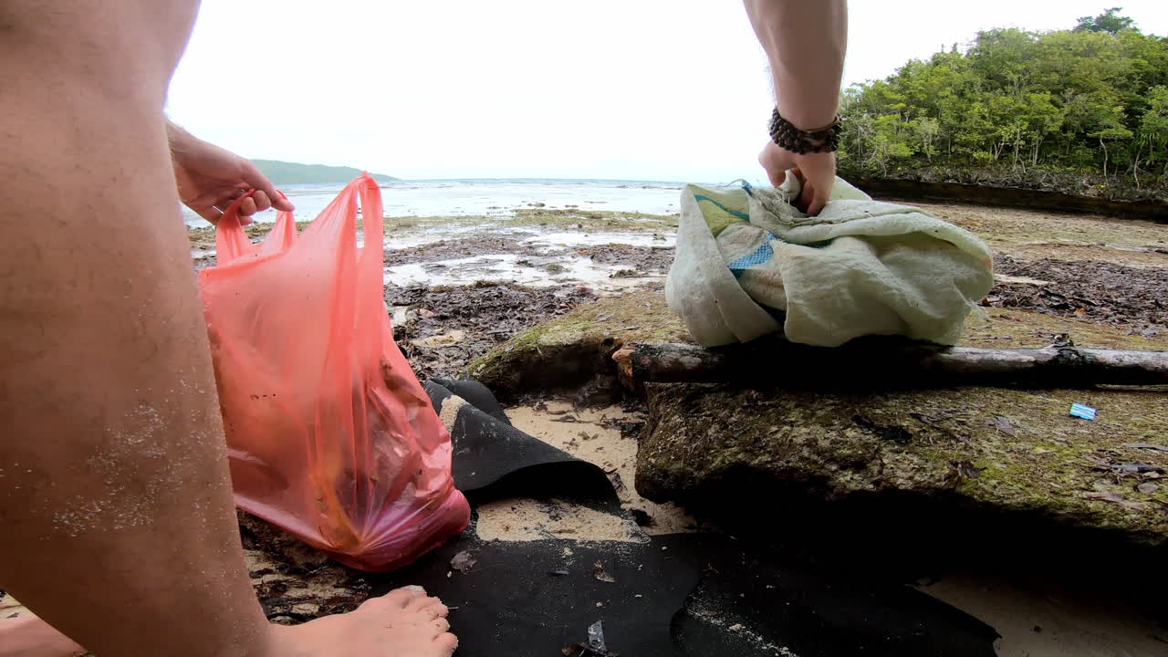 해변 청소 노력