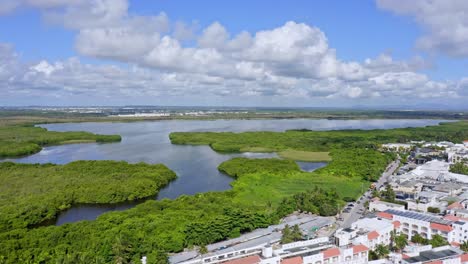 aguas plácidas de la laguna y follaje verde en el refugio de vida silvestre laguna bávaro, punta cana, república dominicana