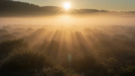 enchanting sunrise over a misty valley, showcasing sunbeams radiating through fog, creating a serene natural landscape at dawn