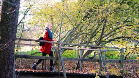 Young-beautiful-woman-walking-over-small-little-bridge-amidst-the-orange-brown-autumn-forest-woodland