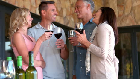amigos disfrutando de vino rojo juntos en cámara lenta