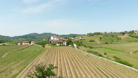 Imágenes-Aéreas-Del-Viñedo.-Hermoso-Paisaje-En-Eslovenia