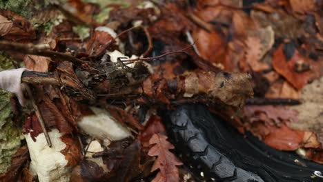 Alter-Autoreifen-Im-Wald-Zurückgelassen,-Farbige-Plastiktüten-Zwischen-Den-Blättern,-Nahaufnahme