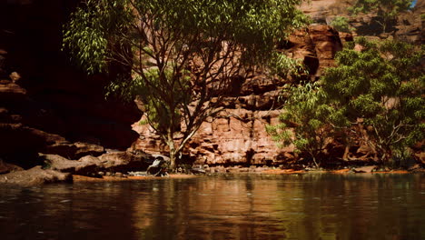 Lago-Powell-En-Un-Día-Soleado-En-Verano