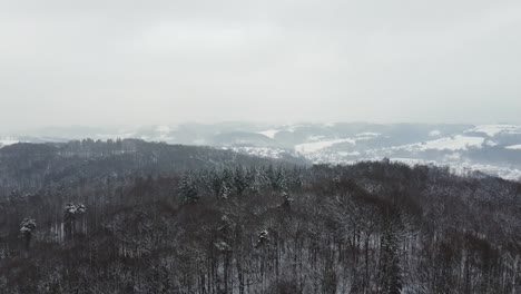 겨울에 눈으로  ⁇ 인 아름다운 풍경
