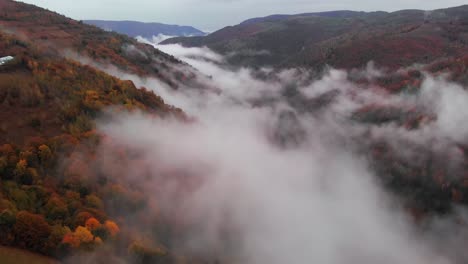 establishing aerial view of a valley with fall