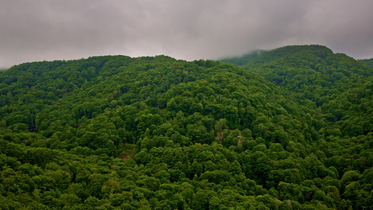 Nature’s drama unfolds as fog envelopes the Smokies