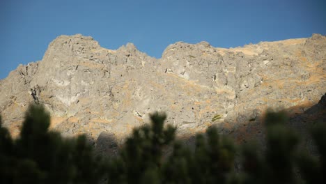 Nadelwaldzweige-Im-Vordergrund-Winken,-Während-Wolken-Berge-Im-Sliezsky-Dom-In-Der-Hohen-Tatra-In-Der-Slowakei-Erklimmen