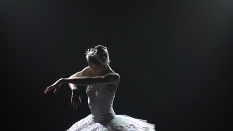 Classical ballet choreography perfoming by young b 2023 11 27 05 36 01 utc.mov | art, background, ballerina, ballet