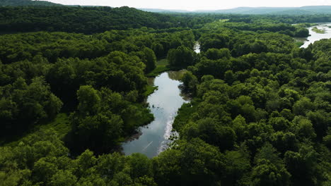 drone flight over lush green forests surrounding lake sequoyah in ar, united states