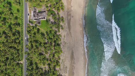 aerial view of tropical beach with palm trees and ocean waves