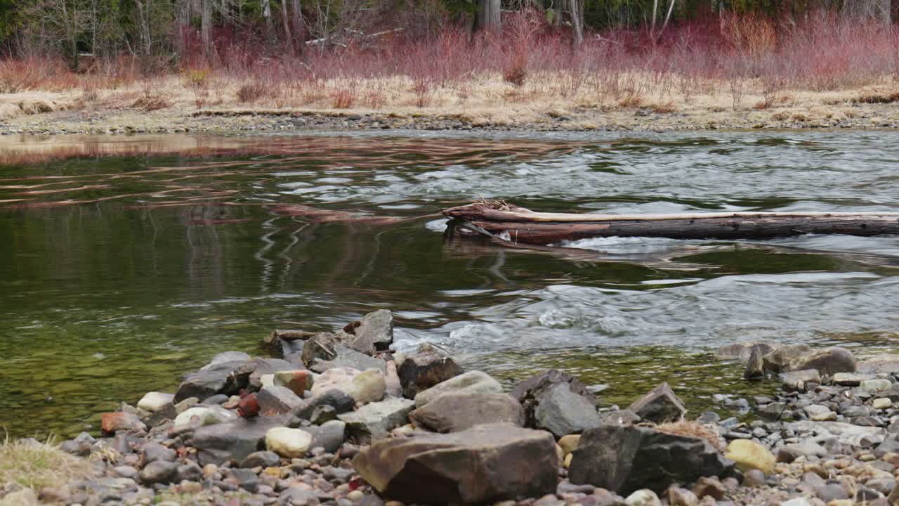 lago cubierto de musgo y corriente verde con rocas multicolores, durante la tarde en st