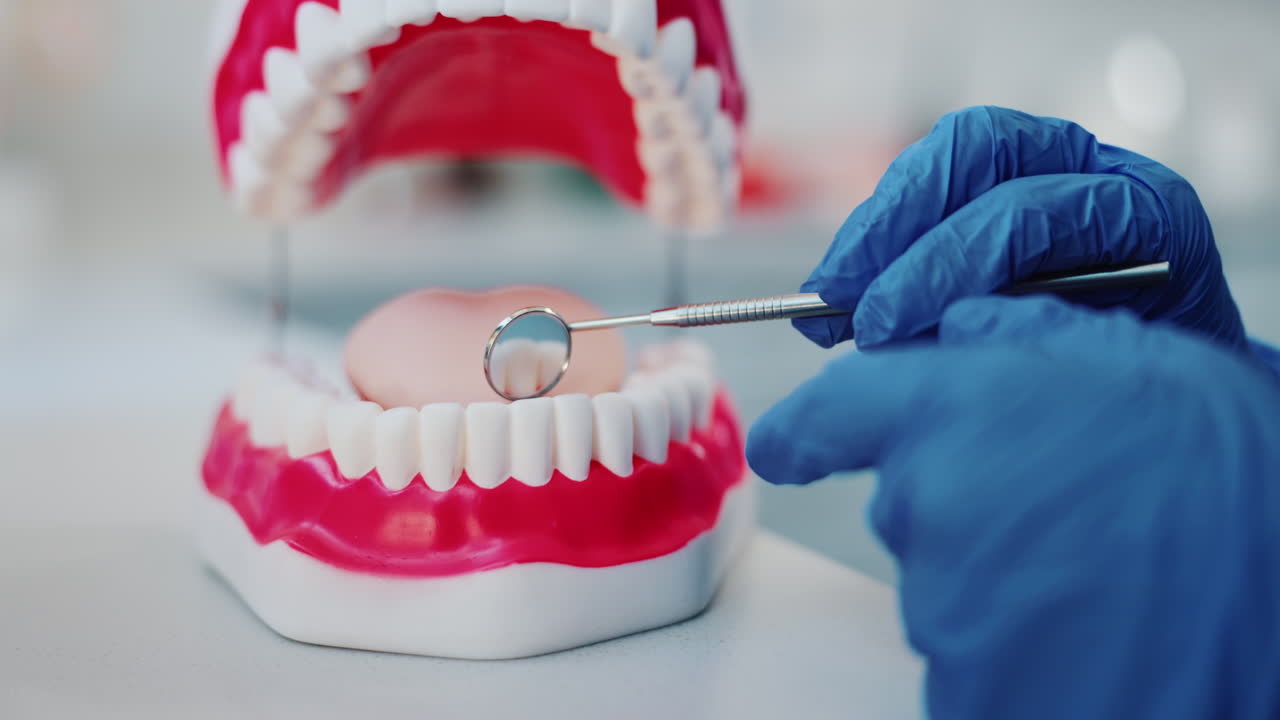 Dental model with dental mirror
