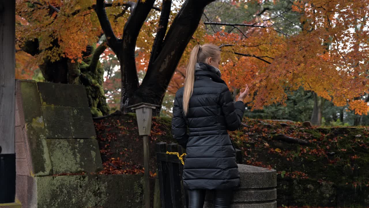 A woman gently touches a tree in the heart of Kanazawa, Japan, as autumn leaves in shades of red, orange, and yellow fall around her.