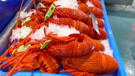 vibrant display of seafood at australian market