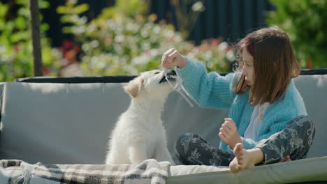 cute child plays with a golden retriever puppy. sitting in a garden swing in the backyard of a house on a clear sunny day