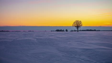 Aufnahme-Eines-Lebendigen-Wintersonnenuntergangs-Im-Zeitraffer-über-Einer-Schneebedeckten-Landschaft-Mit-Einem-Einsamen-Baum-In-Der-Ferne-Während-Der-Abendzeit