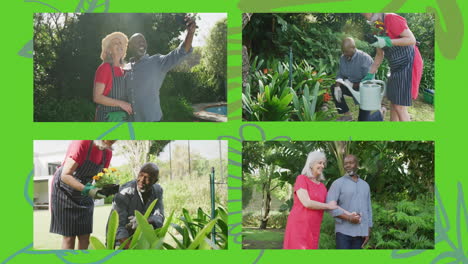 animation of four frames with happy senior diverse couple in garden on green background