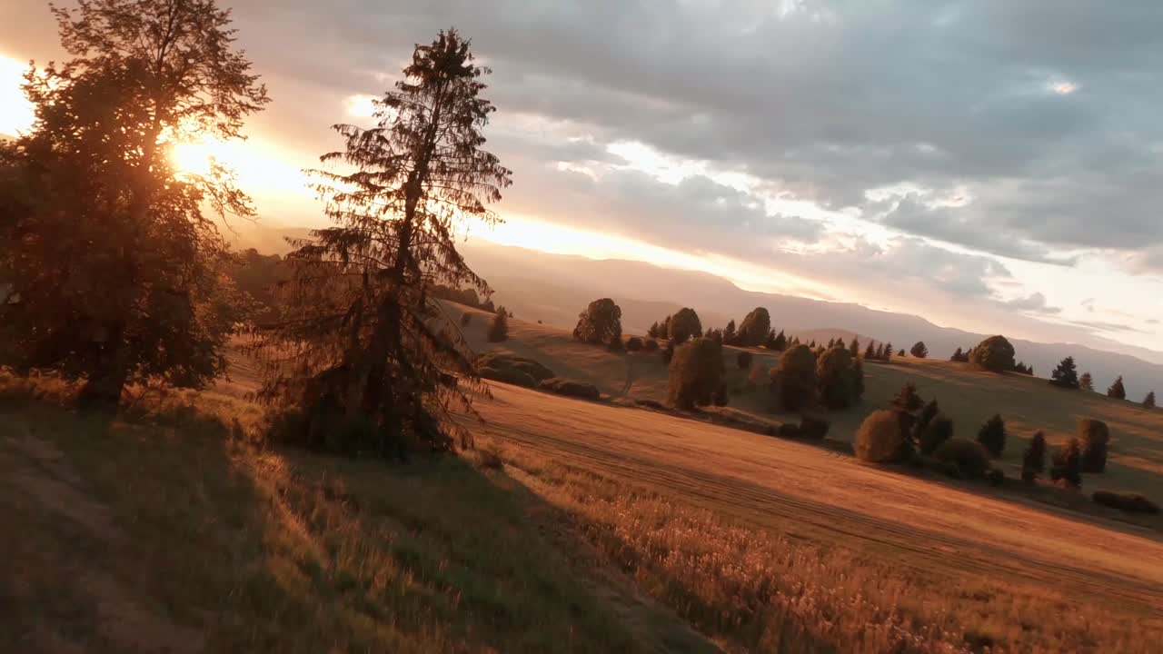 luftaufnahmen einer fpv-renndrohne von einer sonnenbeschienenen wiese während eines sommersonnenuntergangs