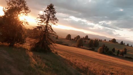 aerial footage from fpv racing drone of a sun lit meadow during a summer sunset