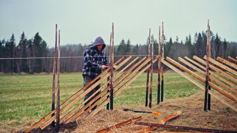 constructing skigard (traditional fence) in norway - wide shot