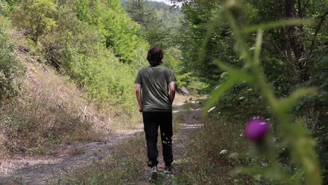 Joven-Caminando-En-El-Bosque-Día-Soleado