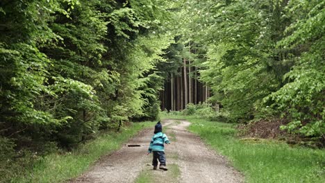 Niño-Corriendo-En-El-Bosque-En-Baviera-En-Otoño