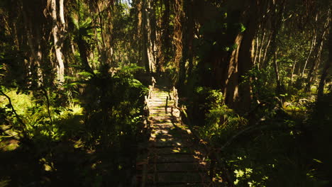 a wooden bridge leads through a lush green jungle