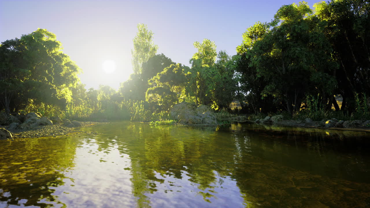 Bright morning reflection of trees on tranquil water surface