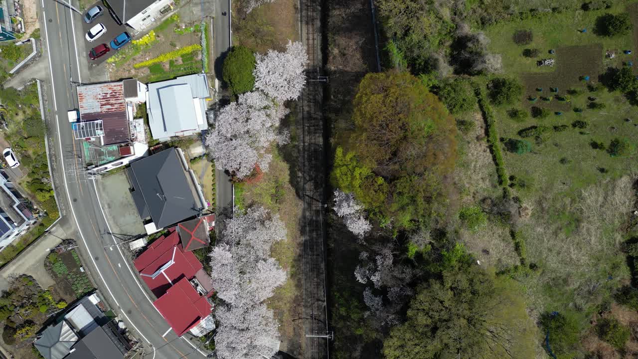 Top down slow motion drone flight over train tracks flanked by Sakura in Japan