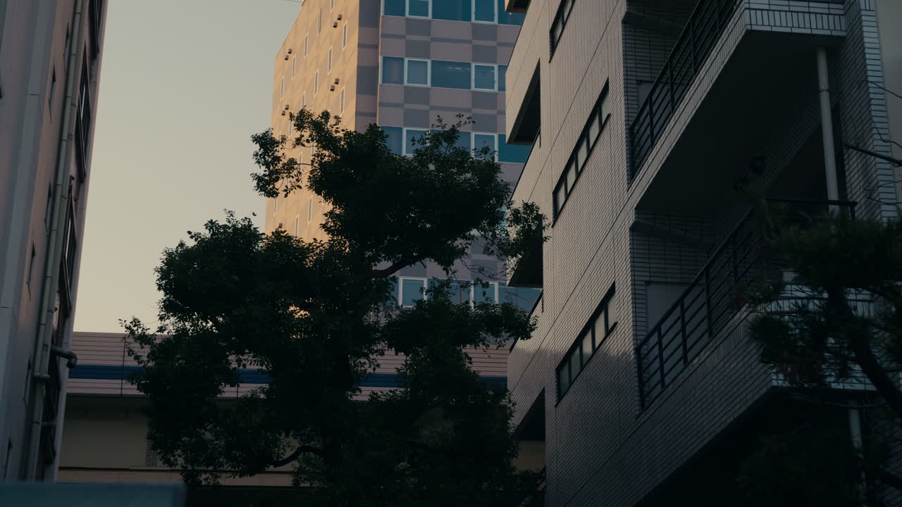 Tranquilo callejón de Tokio resplandeciendo durante un apacible atardecer.