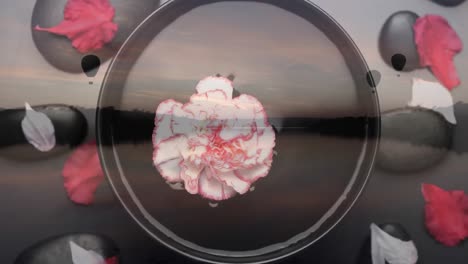 flower floating in a bowl of water