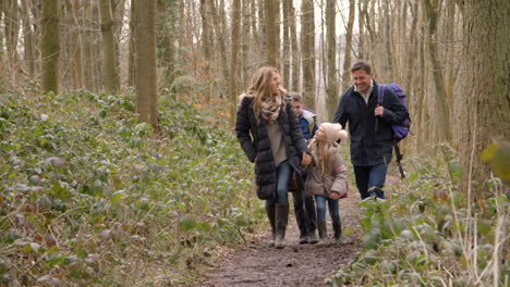 family of four walking through forest towards camera