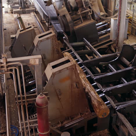 industrial background of a woodworking plant. working process of automated equipment on the modern power-saw bench.