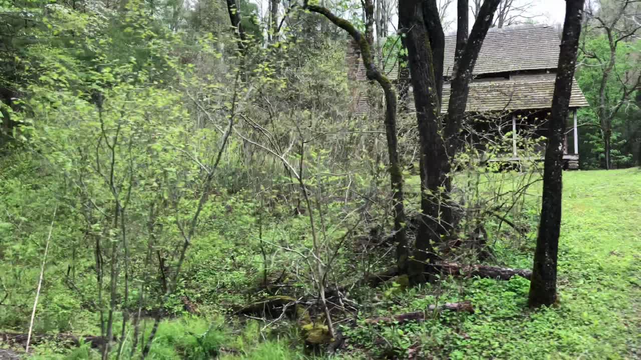 숲 속 의 오두막