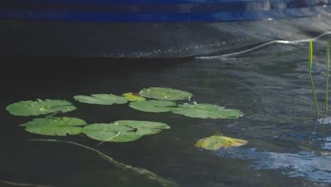 Schwimmende-Grüne-Seerosenschoten-Neben-Einem-Kleinen-Blauen-Boot,-Das-Am-Teich-Angedockt-Ist-–-Aufnahme-Aus-Geringer-Höhe