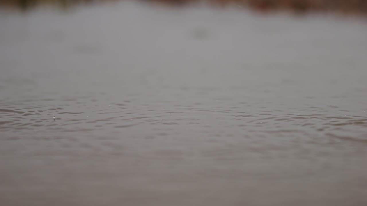 Rippled water surface in a nature reserve in Zeeland, Netherlands, during rainfall, super slow motion