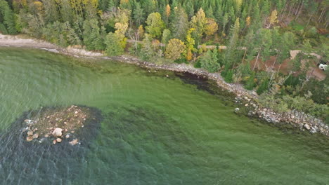 Sweden---Clear,-Wind-rippled-Sea-on-a-Cold-October-Day-Along-the-Coast-With-a-Beautifully-Colored-Fir-and-Birch-Forest---Aerial-Drone-Shot