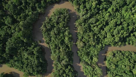 Top-Aufnahme-Des-Amazonas-Im-Dichten-Wald-In-Kolumbien