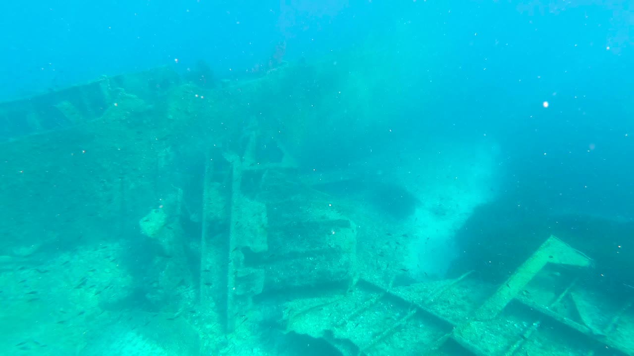 Exploring sunken shipwreck Michelle,  Dugi Otok, Croatia. Reef and corals concept