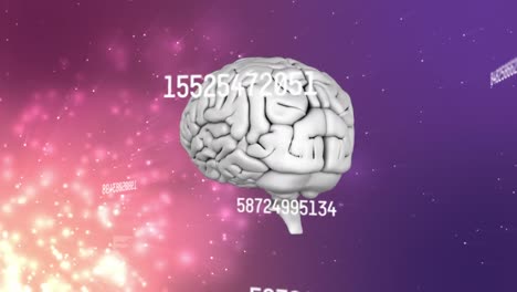animación de números y procesamiento de datos sobre el giro del cerebro humano