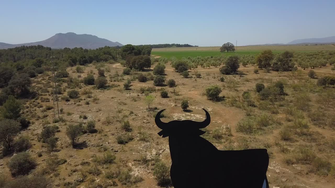 vista aérea sobre un signo de toro en el campo andaluz