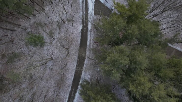 A top down view directly above a dirt road with snow and pine trees, some trees are bare