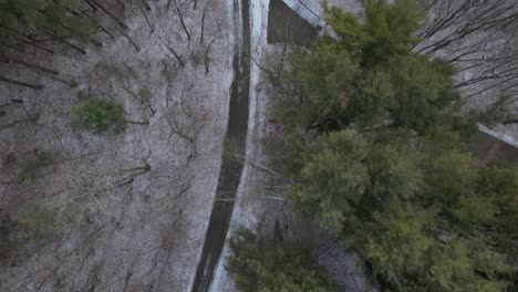 a top down view directly above a dirt road with snow and pine trees, some trees are bare