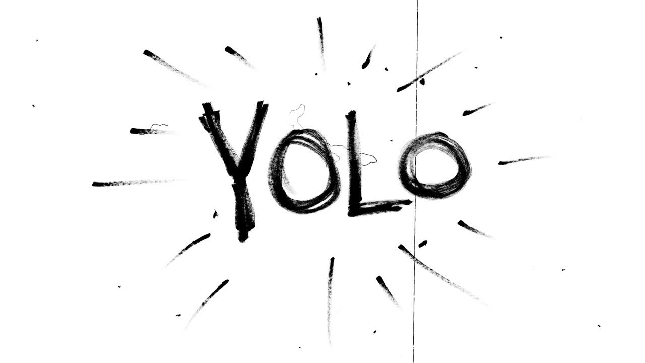 yolo doodle 애니메이션 루프