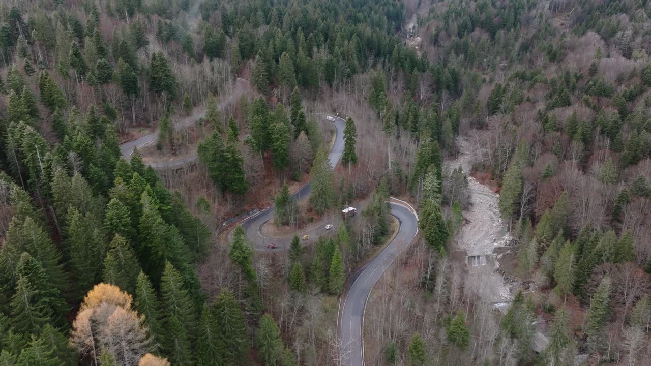 impresionante bosque virgen verde y camino serpenteante en las montañas de bucegi, rumania