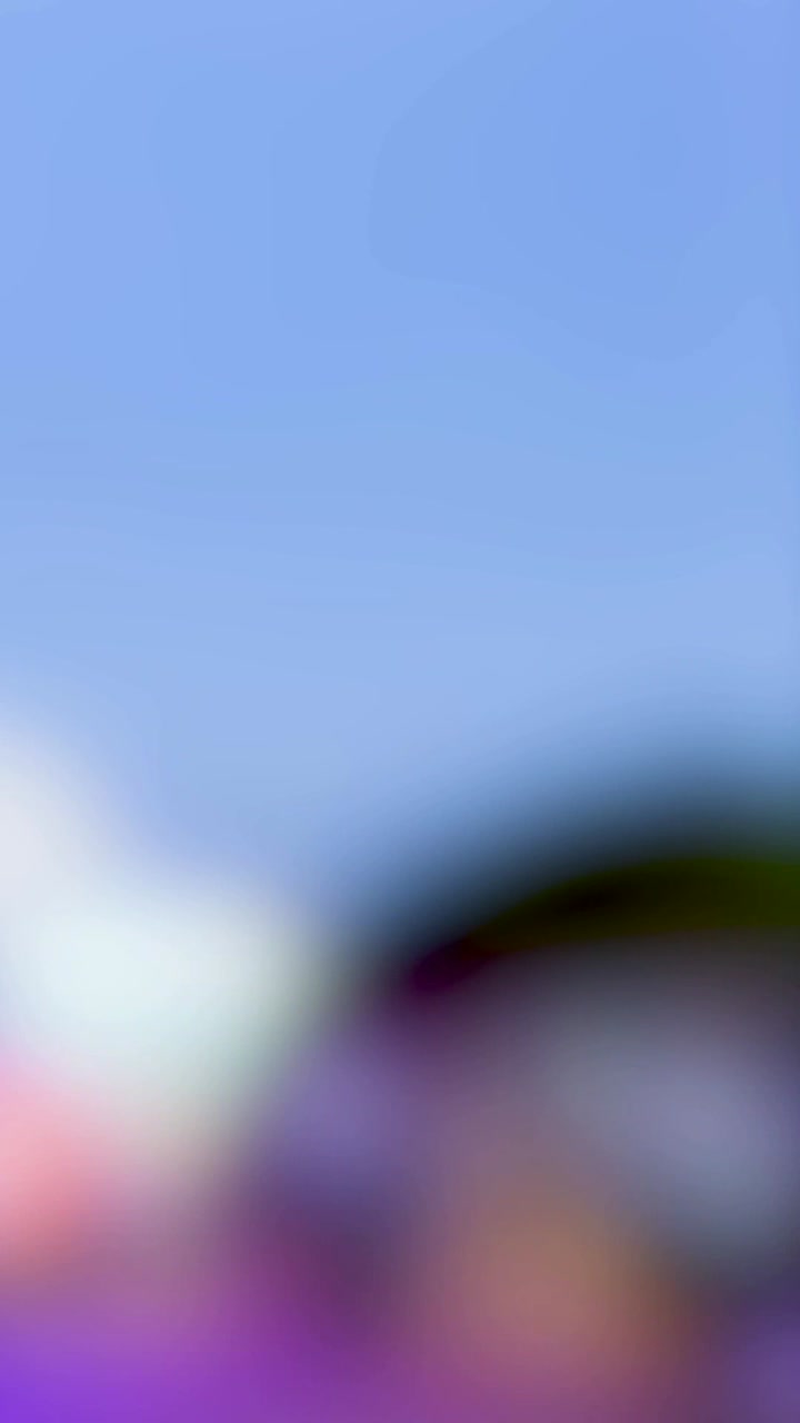 luces coloridas y movimiento en un paseo festivo